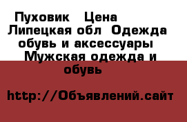 Пуховик › Цена ­ 2 500 - Липецкая обл. Одежда, обувь и аксессуары » Мужская одежда и обувь   